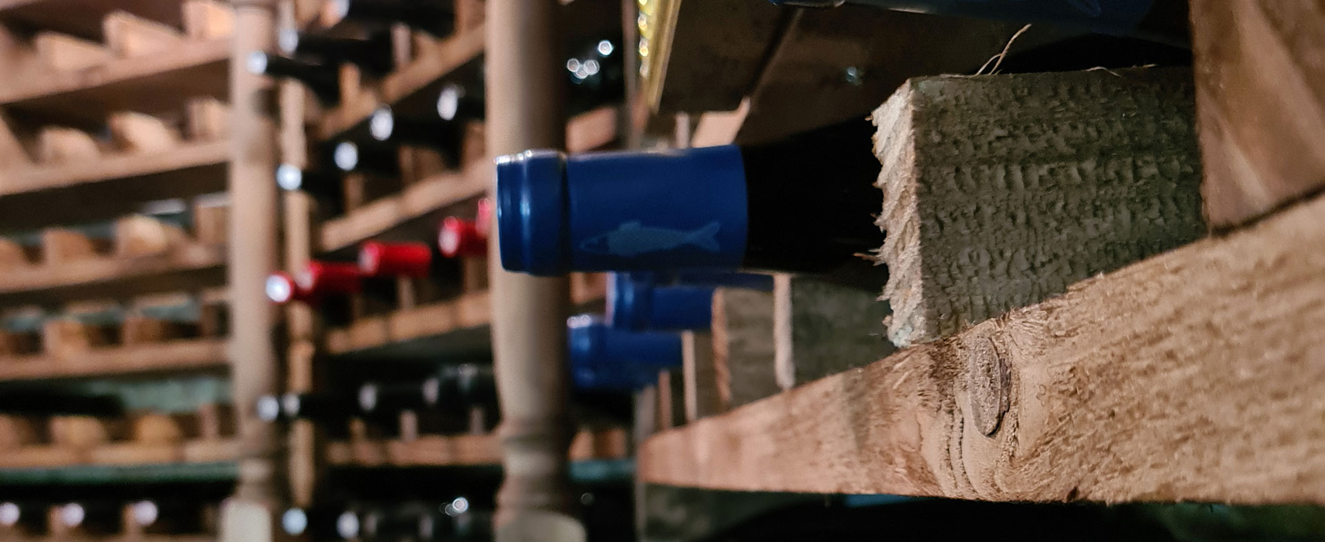 Wine cellar of the Hostellerie Saint Benoit hotel in Aniane